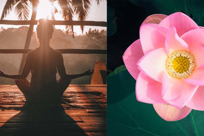 Spa, Yoga & Ayurveda Retreat auf Bali (Tegalalang) – 6 Tage