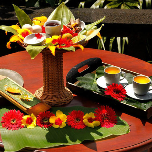 ReiseSpa - Bagus Jati Making Jamu Bali - Wellness Retreats Ubud
