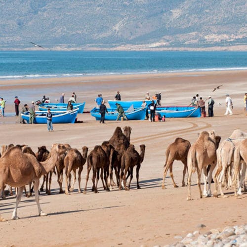 Taghazout Kamäle- Paradis Plage - ReiseSpa Premium Wellness Retreats